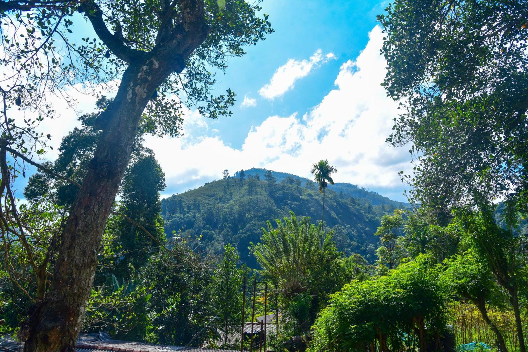 Dawn View Home Stay Ella Ngoại thất bức ảnh