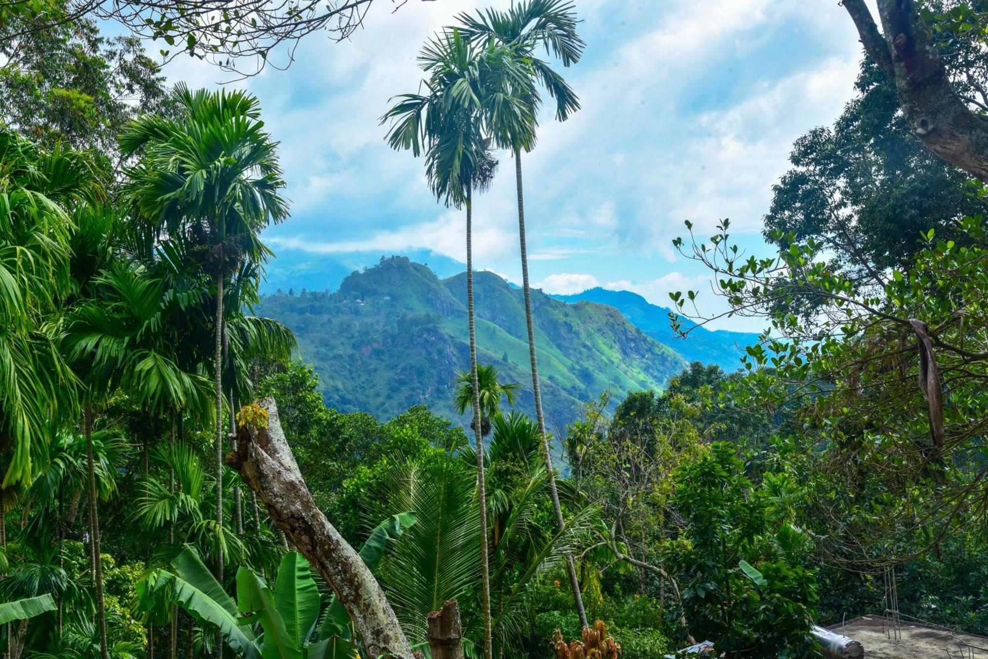 Dawn View Home Stay Ella Phòng bức ảnh